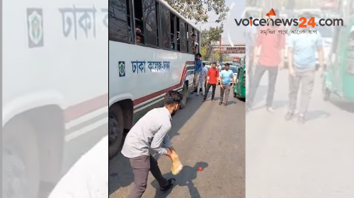 Untitled design (71)