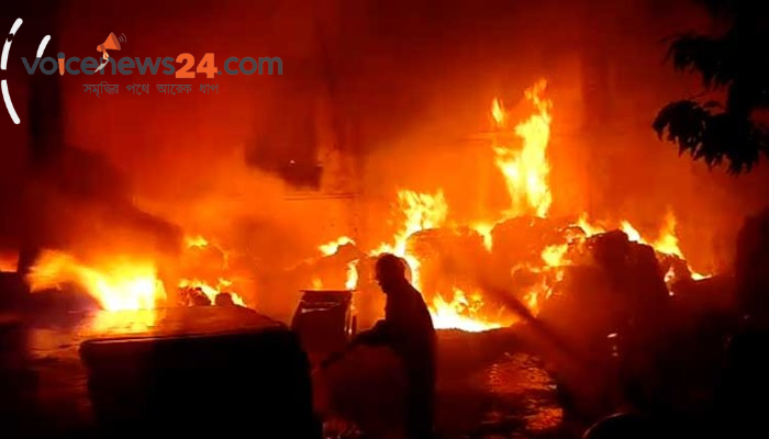 Untitled design (78)