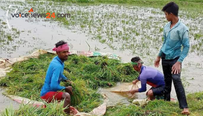 Untitled design - 2022-04-19T001744.076