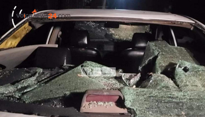 Untitled design (95)