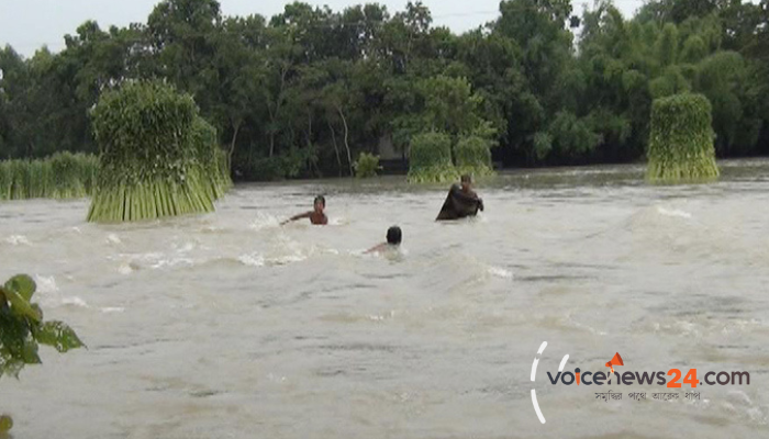 Untitled design - 2022-06-23T202208.242