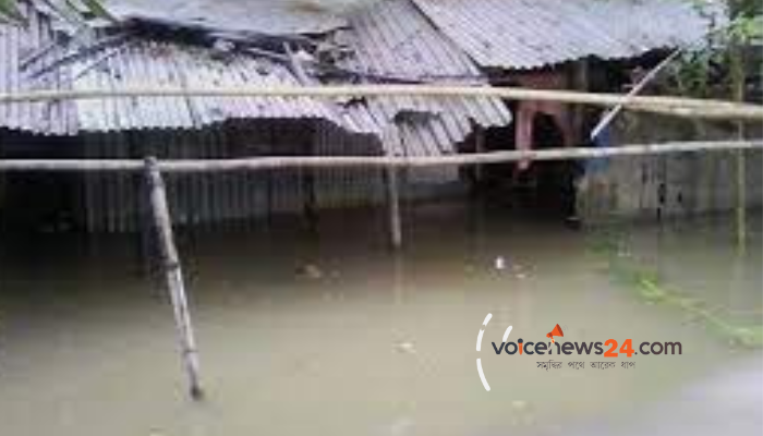 Untitled design - 2022-06-29T004626.201