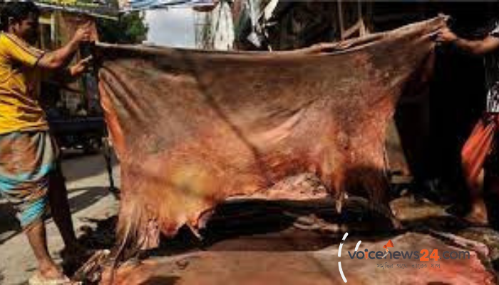 Untitled design - 2022-07-09T000902.666