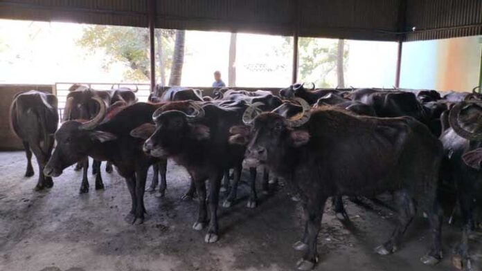 image-609511-1666760544