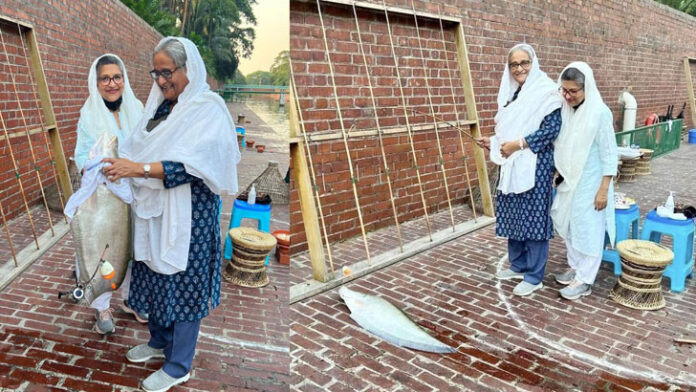 image-610259-1666974357