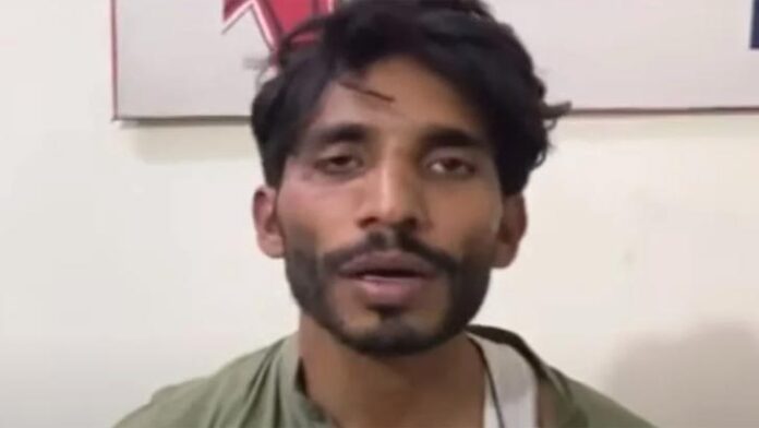 image-612174-1667487541