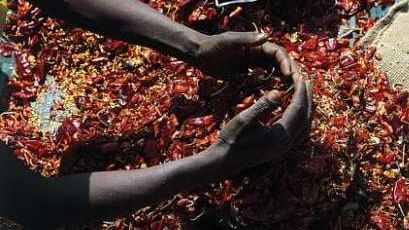 prothomalo-bangla_2023-01_f59ff7f4-b48b-462b-ae8f-15a9adb747ca_Capture