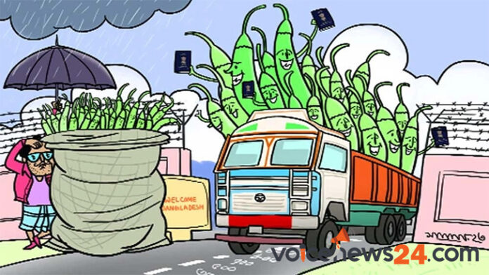 কাঁচা মরিচ